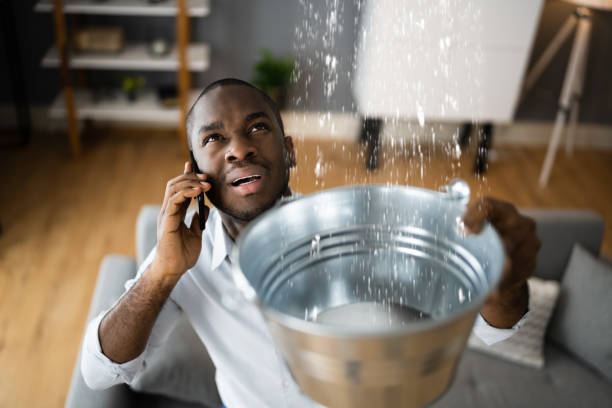 Best Water damage restoration insurance claims  in Queen Anne, MD