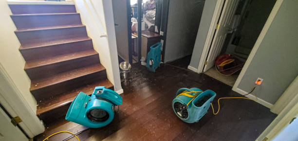 Best Water damage restoration company  in Queen Anne, MD