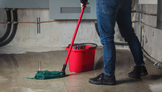 Best Professional water damage repair  in Queen Anne, MD