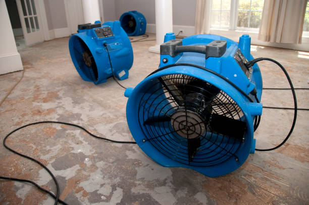 Best Mold removal after water damage  in Queen Anne, MD