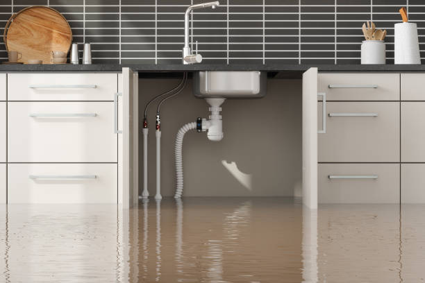 Best 24-hour water damage restoration  in Queen Anne, MD