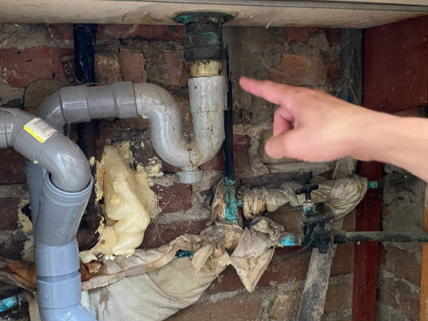 Best Water damage restoration near me  in Queen Anne, MD