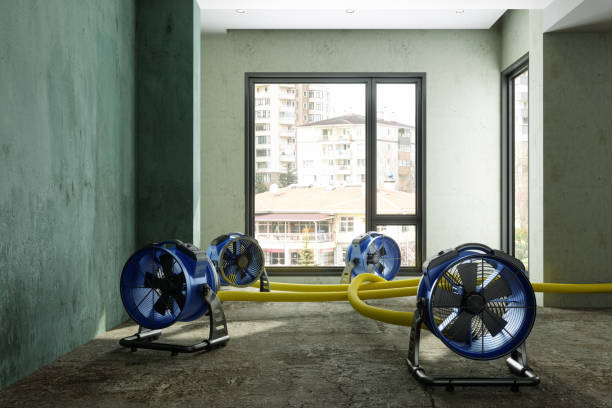 Best Water damage restoration experts  in Queen Anne, MD