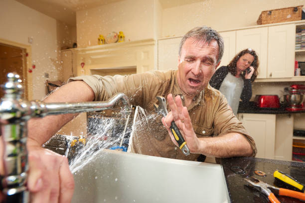 Best Mold removal after water damage  in Queen Anne, MD